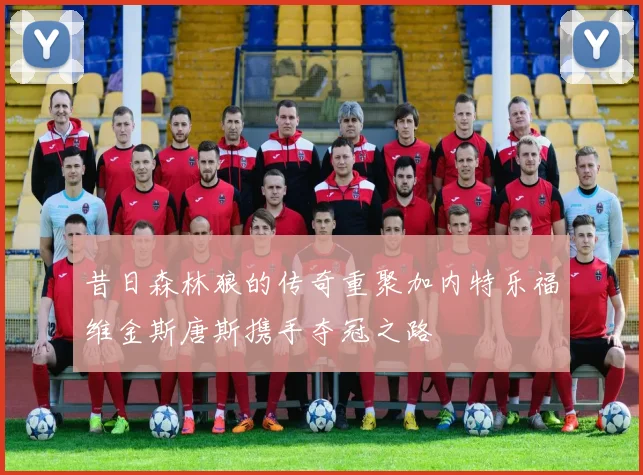 昔日森林狼的传奇重聚加内特乐福维金斯唐斯携手夺冠之路